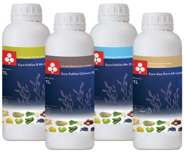 overview Algae Solutions for Morellofert in Australia